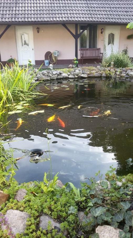 Storchennest An Der Spree In Radinkendorf Apartment เบสโกว์ ภายนอก รูปภาพ