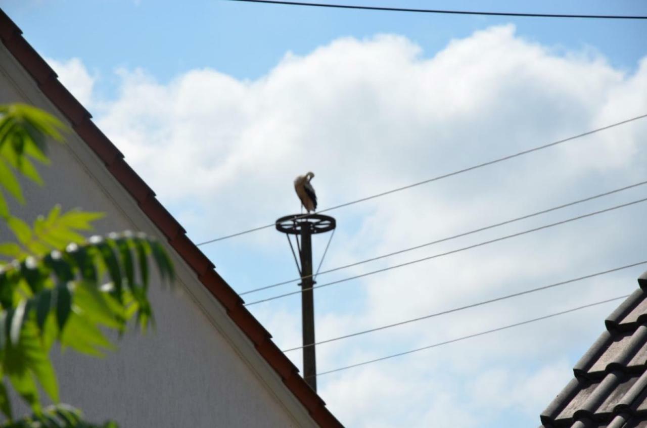 Storchennest An Der Spree In Radinkendorf Apartment เบสโกว์ ภายนอก รูปภาพ
